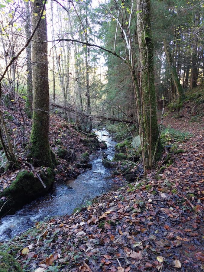 Urlaub An Der Grenze Leilighet Lauterbach  Eksteriør bilde