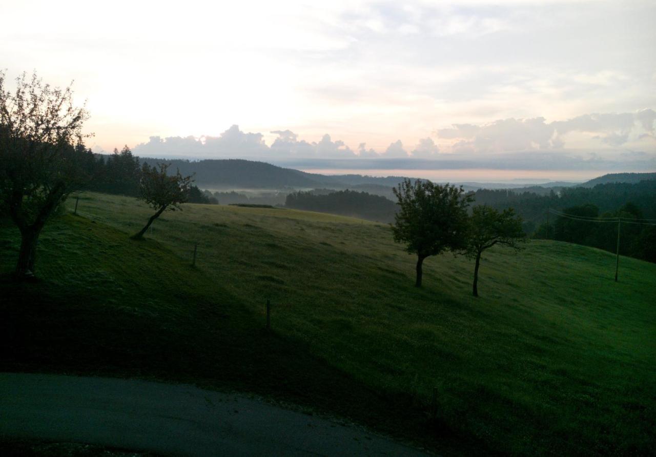 Urlaub An Der Grenze Leilighet Lauterbach  Eksteriør bilde