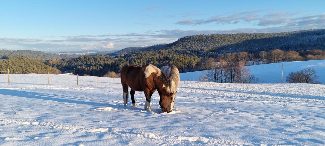 Urlaub An Der Grenze Leilighet Lauterbach  Eksteriør bilde